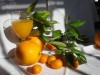 Naranjas a domicilio: la delicia toca su puerta